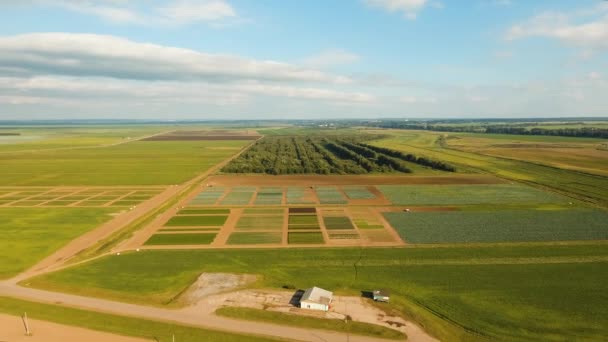 Vue aérienne des terres agricoles . — Video