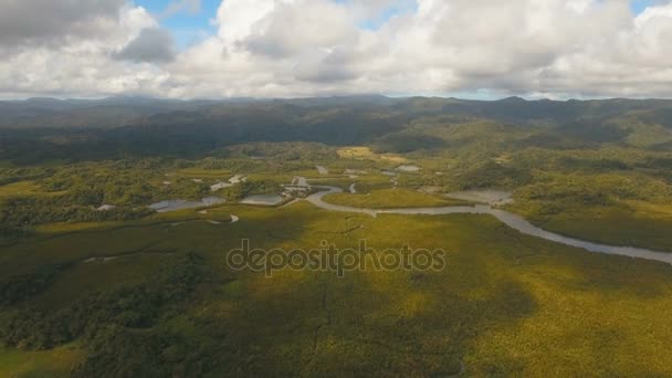 Floresta de mangue na Ásia. Filipinas Catanduanes ilha . — Vídeo de Stock