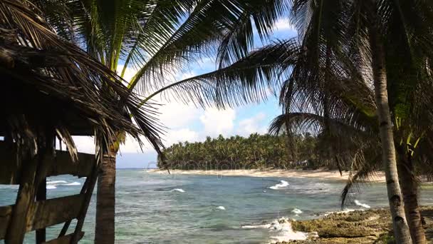 Παραλία σε τροπικό νησί. Φιλιππίνες, Siargao. — Αρχείο Βίντεο