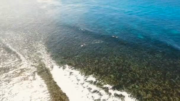Luchtfoto surfers op de golven. Siargao, Filipijnen. Cloud 9. — Stockvideo