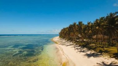Hava güzel bir plaj tropikal bir adada görüntüleyin. Filipinler, Siargao.