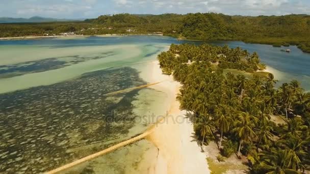 空中查看在一个热带小岛上美丽的海滩。菲律宾，锡亚高. — 图库视频影像