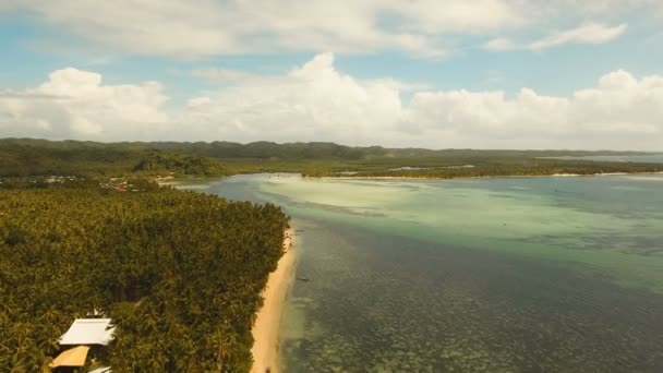 Antenn Visa vacker strand på en tropisk ö. Filippinerna, Siargao. — Stockvideo