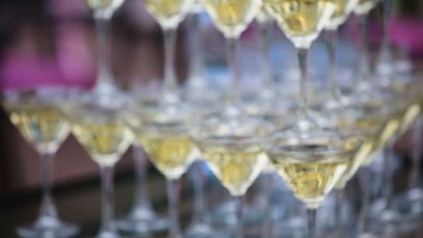 Copos de champanhe em pé em uma torre na festa — Vídeo de Stock