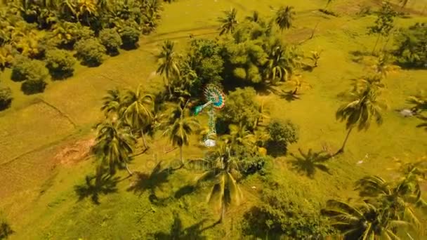 Petite éolienne dans les champs agricoles. Philippines, Siargao . — Video