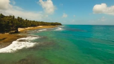 Kayalık plaj tropikal bir adada. Filipinler, Siargao.