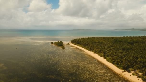 Aerial view beautiful beach on a tropical island. Philippines,Siargao. — Stock Video