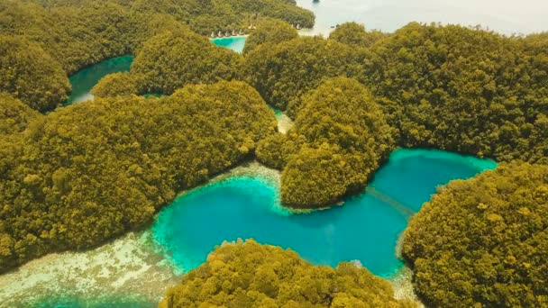 Widok z lotu ptaka tropikalna laguna, morze, plaża.Bucas Grande Island, Sohoton Cove. Filipiny. — Wideo stockowe