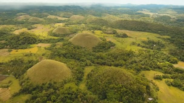 Chocolate Hills in Bohol, Philippines, Aerial view. — Stock Video