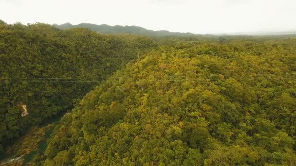 Zipline da atração na selva na ilha de Bohol, Filipinas . — Vídeo de Stock