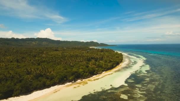 空中では、熱帯の島の美しいビーチを表示します。フィリピン、アンダ周辺地域. — ストック動画