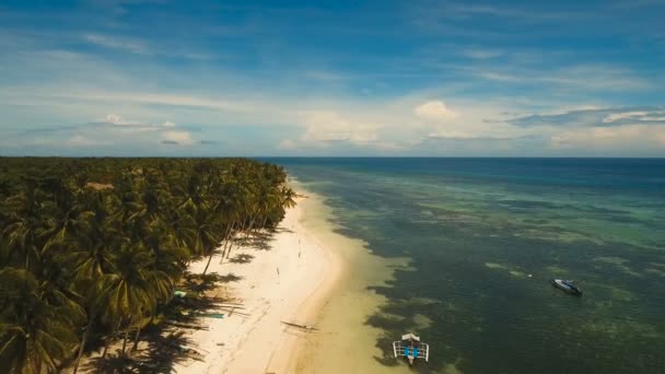 Letecký pohled krásné pláže na tropickém ostrově. Filipíny, Anda oblast. — Stock video