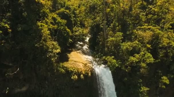 Krásný tropický vodopád. Filipíny Bohol island. — Stock video