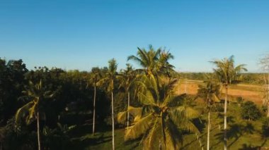 Yeni bir Havaalanı terminal inşaatı. Filipinler, Bohol, Panglao.