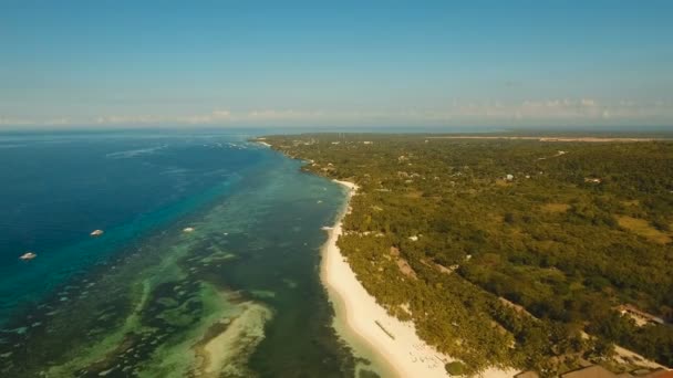 Vue aérienne belle plage sur une île tropicale. Philippines, Bohol .