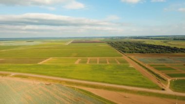 tarım alanlarının havadan görünümü.