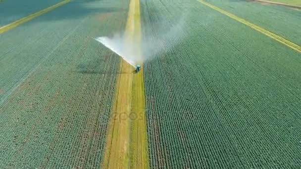 農地における灌漑システム. — ストック動画