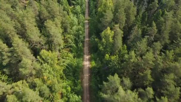 route dans la forêt.