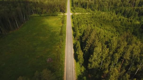 Snelweg tussen het bos. — Stockvideo