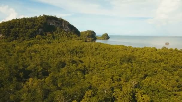 Laut dengan pulau tropis, pantai, batu dan gelombang. Bohol, Filipina . — Stok Video