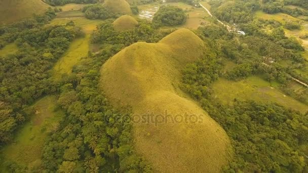 Chocolate Hills in Bohol, Filippijnen, luchtfoto. — Stockvideo