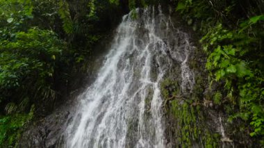 Güzel tropik şelale. Filipinler Cebu Adası.