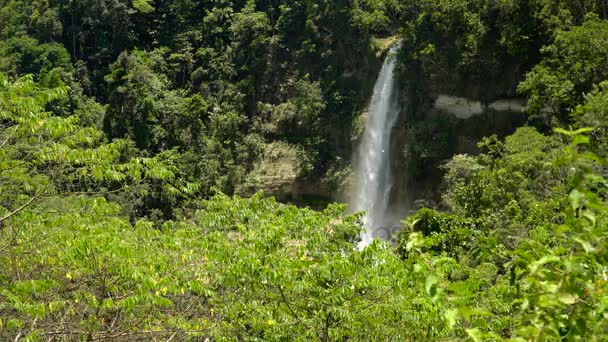 Belle cascade tropicale. Philippines Bohol île . — Video