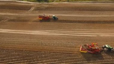 Tarlada patates topluyorum.