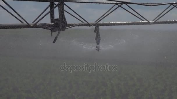 Sistem de irigare pe terenuri agricole . — Videoclip de stoc