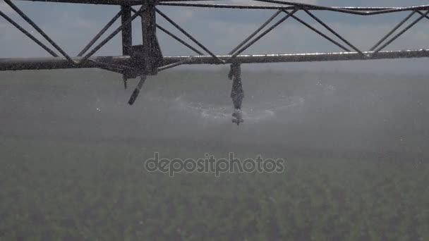 Système d'irrigation des terres agricoles. — Video