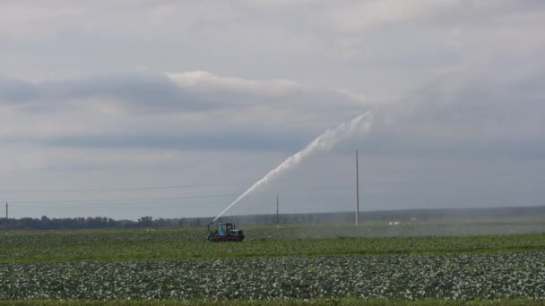 Zavlažovací systém na zemědělské půdě. — Stock video