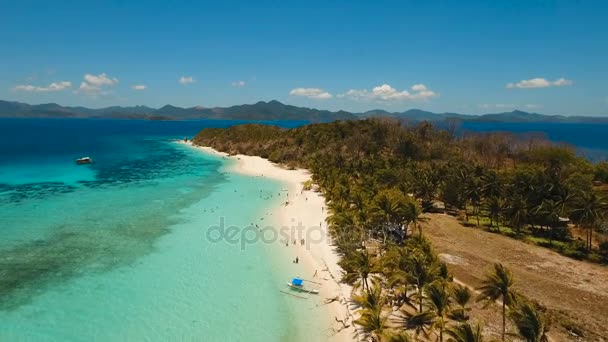 Aerial view beautiful beach on a tropical island Malcapuya. Philippines. — Stock Video