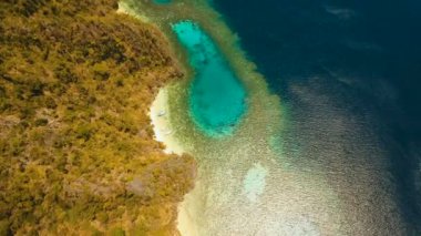Hava manzaralı tropikal göl, deniz, sahil. Tropikal ada. Busuanga, Palawan, Filipinler.