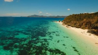Havadan görünümü güzel plaj tropikal bir ada Malcapuya. Filipinler.