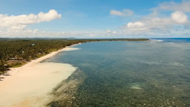 Vista aérea hermosa playa en una isla tropical. Filipinas, Siargao . — Vídeo de stock