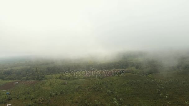 Terras agrícolas nas montanhas no nevoeiro. Ilha de Jawa, Indonésia — Vídeo de Stock