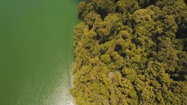 山の中の湖,島バリ,インドネシア. — ストック動画