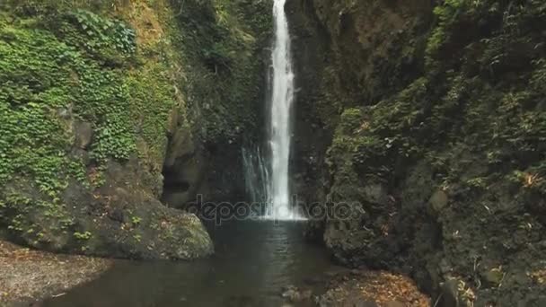 Vackert tropiskt vattenfall. Bali, Indonesien. — Stockvideo