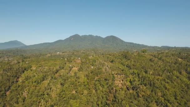 有农田的山区景观，印度尼西亚巴厘 — 图库视频影像
