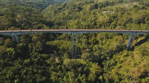 Bridge over mountain canyon in the jungle. Bali, Indonesia. — Stock Video