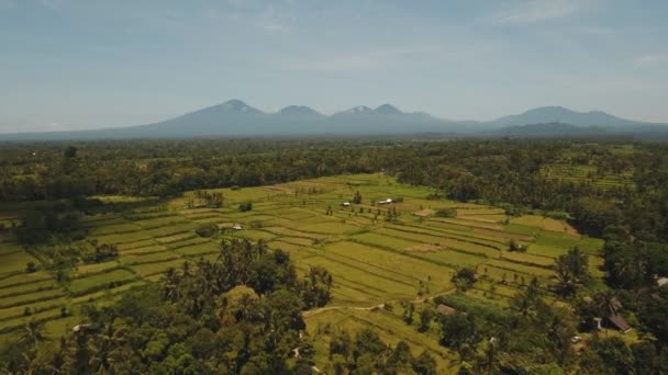 Paesaggio montano con valle e villaggio Bali, Indonesia — Video Stock
