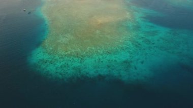 Mercan kayalıkları mercan adası, Bali.