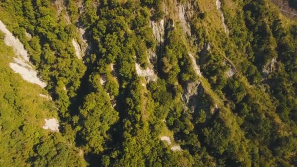 Vista del paisaje del bosque de montaña. Bali. — Vídeo de stock