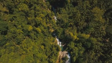 Güzel tropik şelale. Filipinler Cebu Adası.