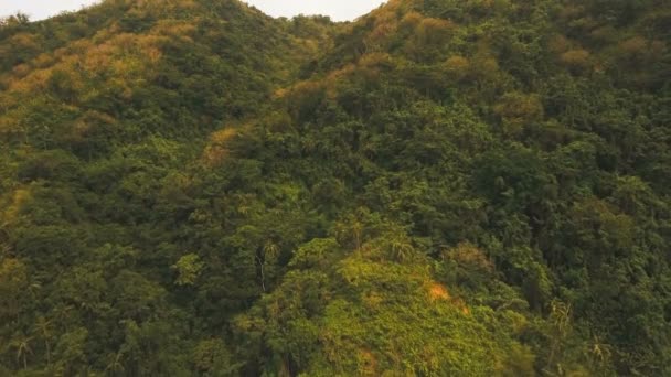 열 대 숲과 산입니다. 필리핀 Catanduanes 섬. — 비디오
