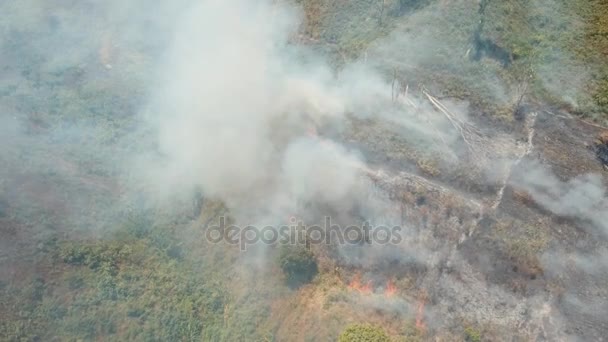 Aerial view Forest fire. Jawa island, Indonesia. — Stock Video