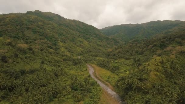 Río Montaña en el bosque lluvioso.Isla de Camiguin Filipinas . — Vídeo de stock