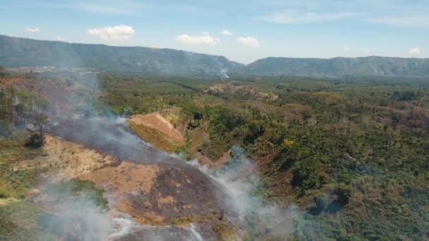 Widok z lotu ptaka pożar lasu. Wyspa Jawa, Indonezja. — Wideo stockowe