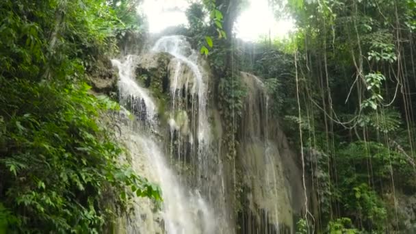Prachtige tropische waterval. Filippijnen-Cebu island. — Stockvideo