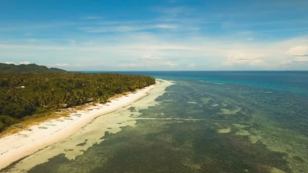 Εναέρια προβολή όμορφη παραλία σε ένα τροπικό νησί. Φιλιππίνες, Anda περιοχή. — Αρχείο Βίντεο
